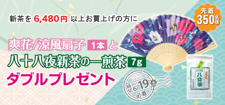 新茶ｐプレゼント詳細2021