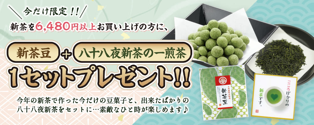 新茶ｐプレゼント詳細大
