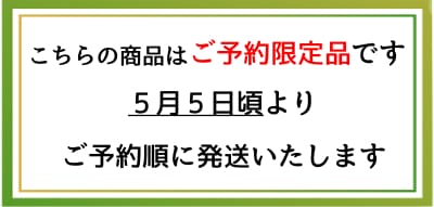 限定茶急須セット予約