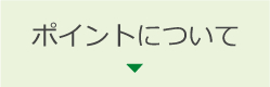 ポイントについて