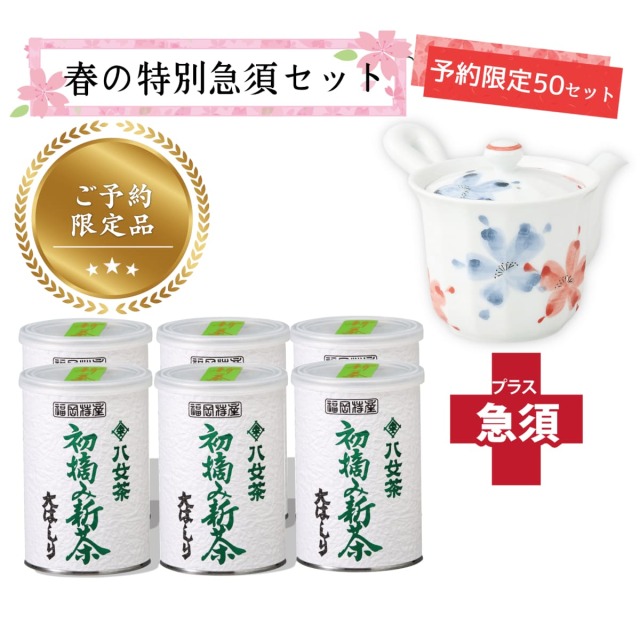 【T-716・16】初摘み新茶・大はしり100g 6缶+茶用品