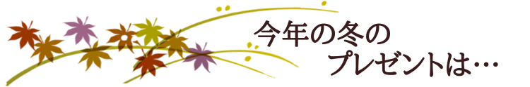 2017御歳暮プレゼント