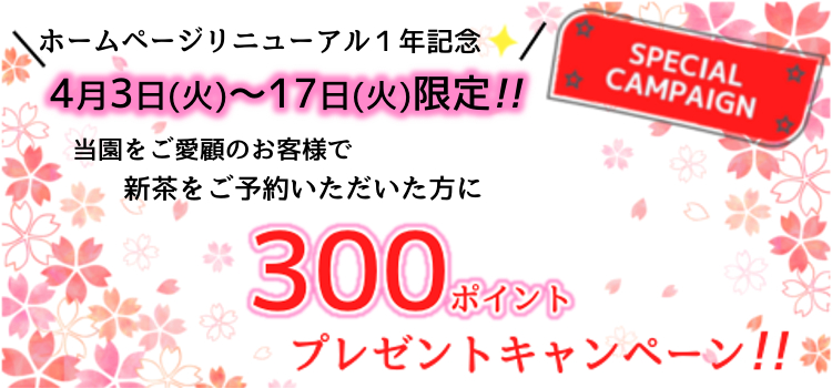 リニューアルキャンペーン大