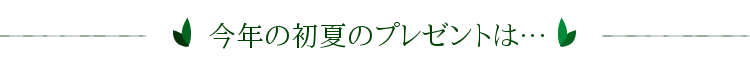 初夏プレゼントは
