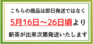 新茶P特別セット販売予定２