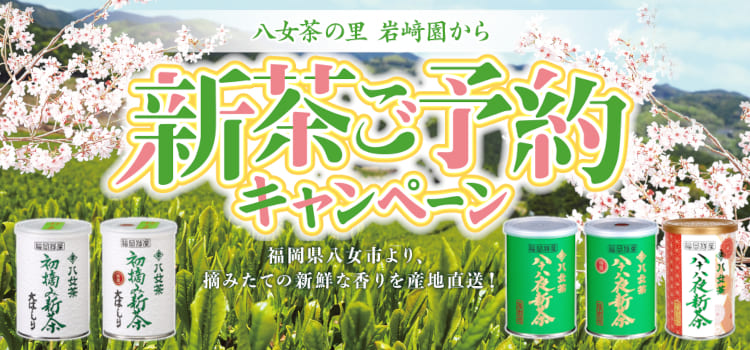 八女茶の通販：八女茶製造販売店が産地直送【岩崎園製茶 創業74年】