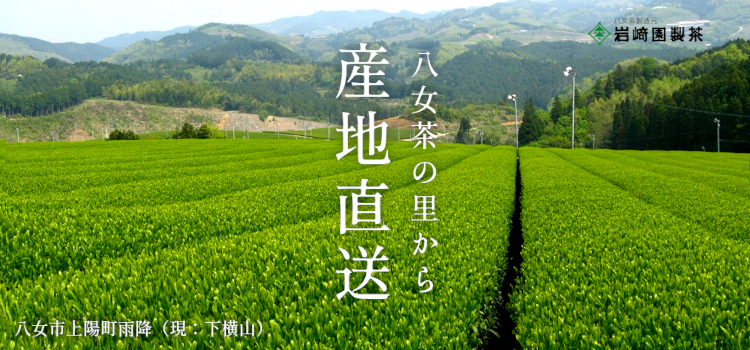 メーカー公式店 のし対応可 八女茶 玉露銀 特上 煎茶 170g × 2本 お茶 ギフト セット 岩?園製茶 福岡県産 緑茶、日本茶 