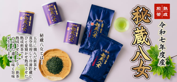 秘蔵八女通常バナー