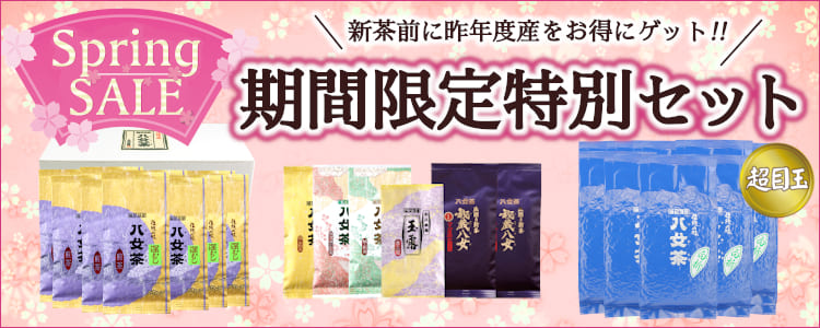 売りつくし特別セットTOPバナー